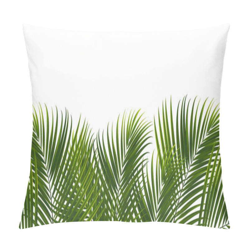 Personality  Coconut Leaves On White Background With Clipping Path For Tropical Leaf Design Element.vector Illustration Design Pillow Covers