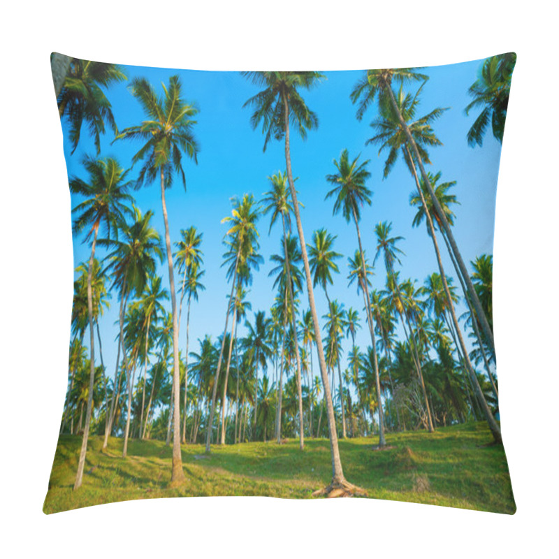 Personality  Palm Forest Pillow Covers