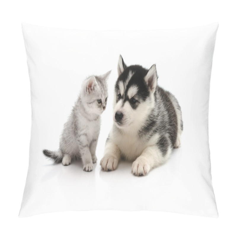 Personality  Cute Kitten And Puppy On White Background  Pillow Covers