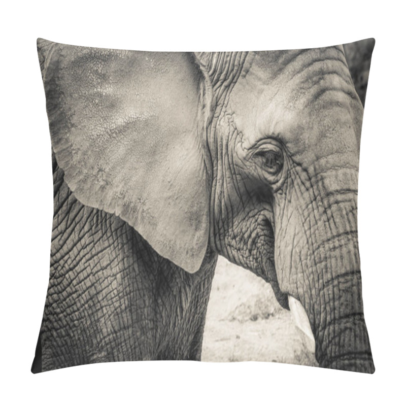 Personality  Elephant Close-up With Sad Expression. The Head Of An Elephant Close-up. Vintage, Grunge Old Retro Style Photo. Pillow Covers