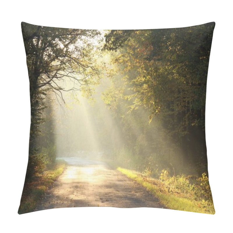 Personality  Rising Sun Illuminates The Oak Leaves On The Branches Of Trees In The Autumn Forest Pillow Covers