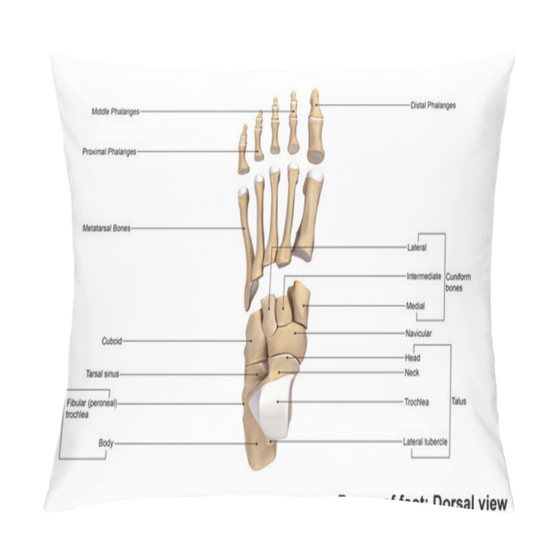 Personality  Human Foot Bones Skeleton Pillow Covers