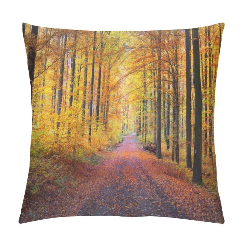 Personality  A Single Lane Rural Road Through The Golden Beech Trees. Forest Floor Of Green, Orange And Yellow Leaves. Mysterious Light Through The Tree Trunks. Environmental Conservation In Heidelberg, Germany Pillow Covers