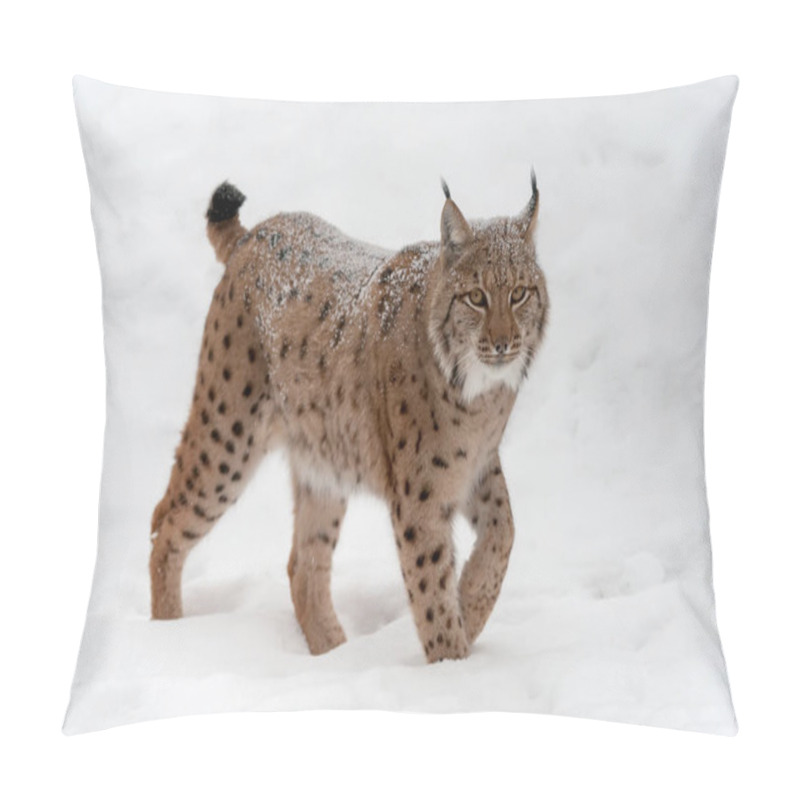 Personality  Lynx On The Snow Pillow Covers