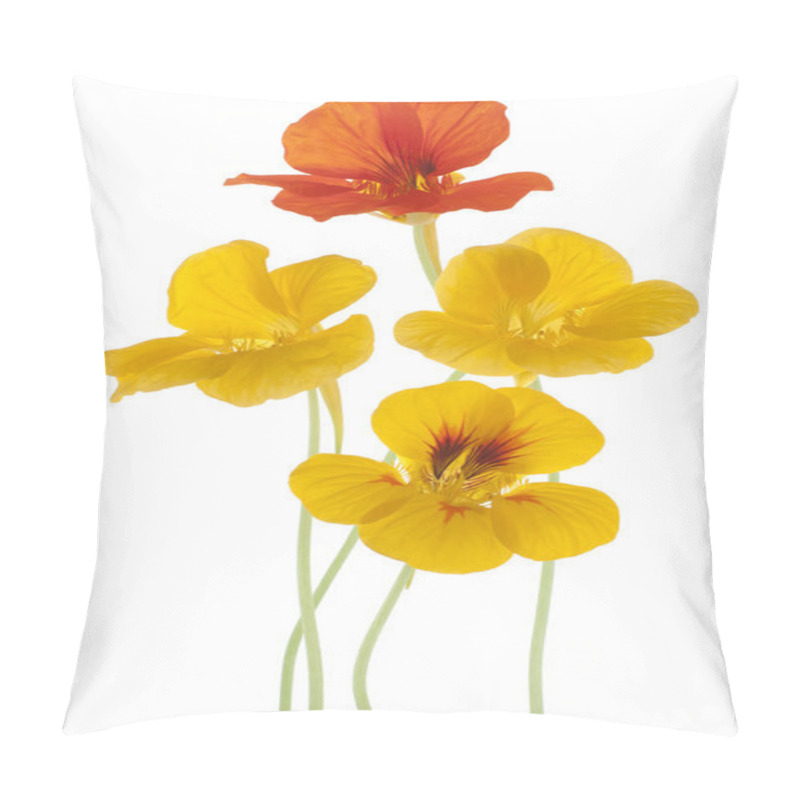 Personality  Nasturtium Pillow Covers