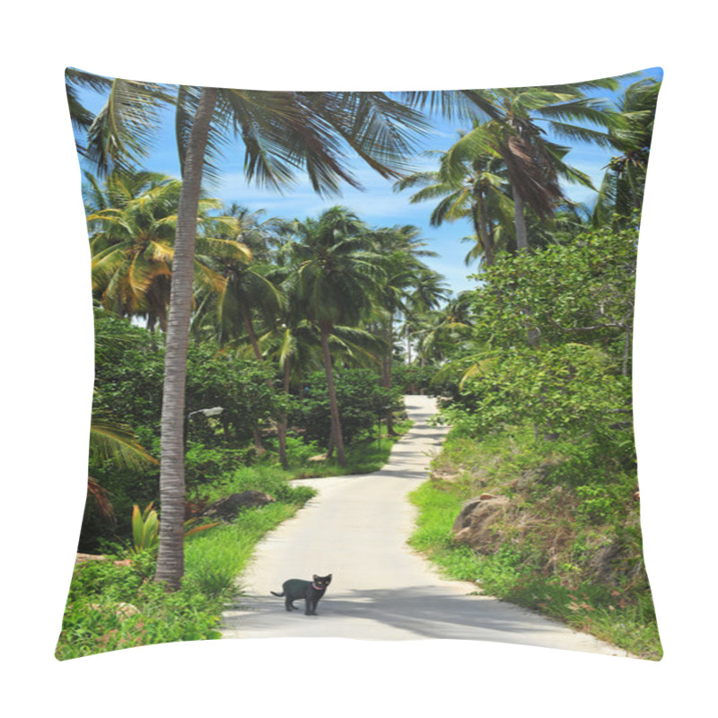 Personality  Passage Through The Paradise Pillow Covers