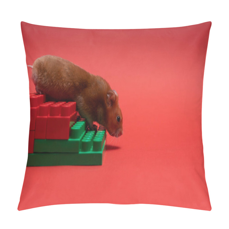 Personality  Hamster Goes Down The Stairs Pillow Covers