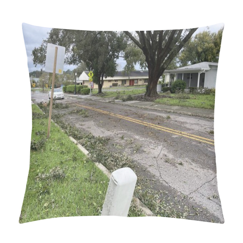 Personality  Lakeland, Fla USA 10 11 24: Hurricane Milton Damage And Scattered Foliage Road Pillow Covers