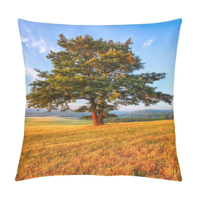 Personality  Tree On Meadow Pillow Covers