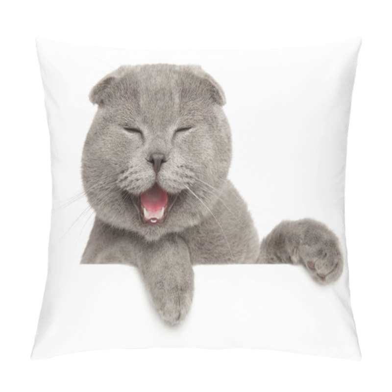 Personality  Scottish Fold Cat Above Banner, Isolated On White Background. Animal Themes Pillow Covers