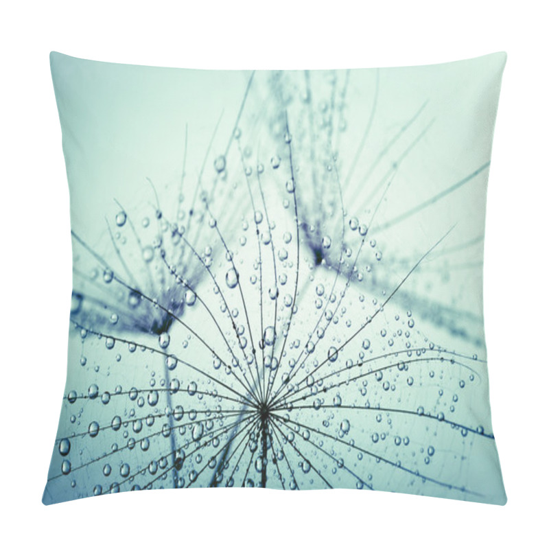 Personality   Dandelion Seeds  Pillow Covers