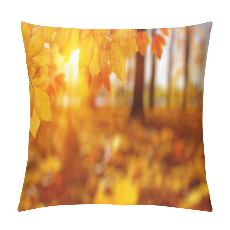 Personality   Autumn Leaves On The Sun And Blurred Trees . Fall Background. Pillow Covers