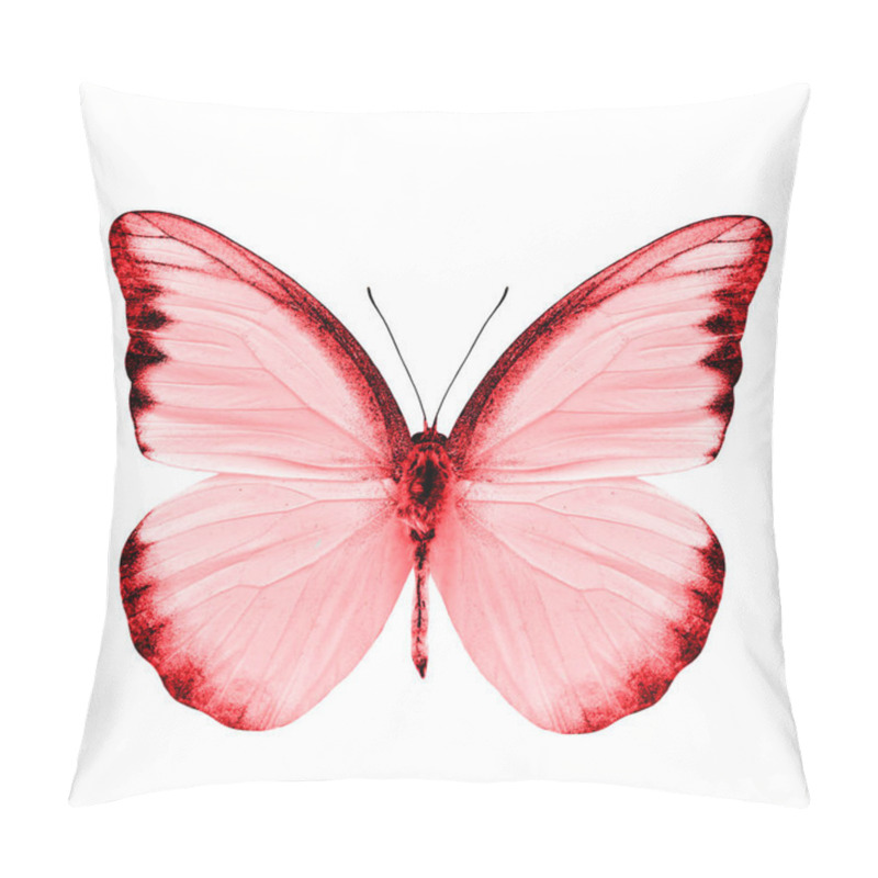 Personality  Beautiful Red Butterfly Isolated On White Background Pillow Covers