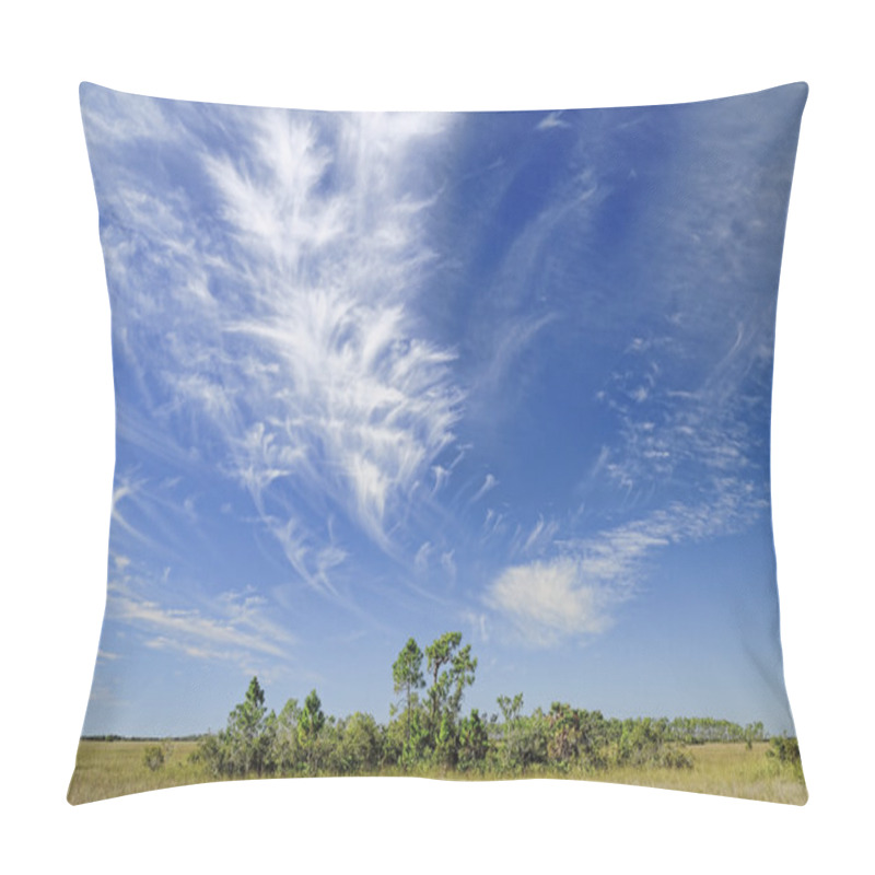 Personality  Cirrus Clouds Over The Florida Everglades Pillow Covers