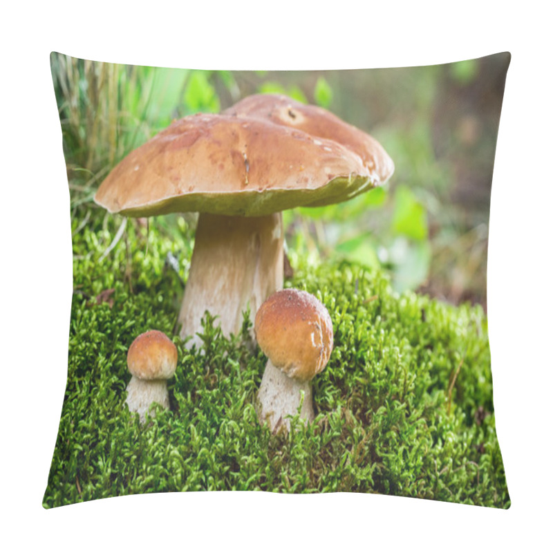 Personality  Boletus Mushroom On Moss In The Forest At Sunset Pillow Covers