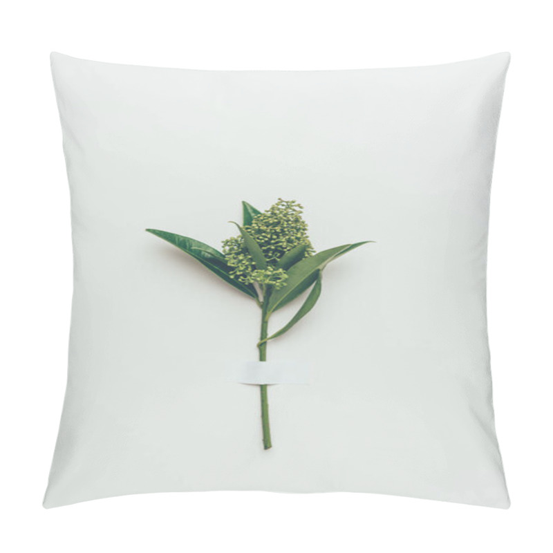 Personality  Beautiful Tender Flower Buds With Green Leaves On Grey Pillow Covers