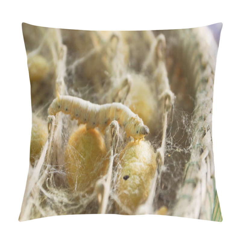 Personality  Silk Worm On Silk Cocoon / Silk Cloth Production Concept Pillow Covers