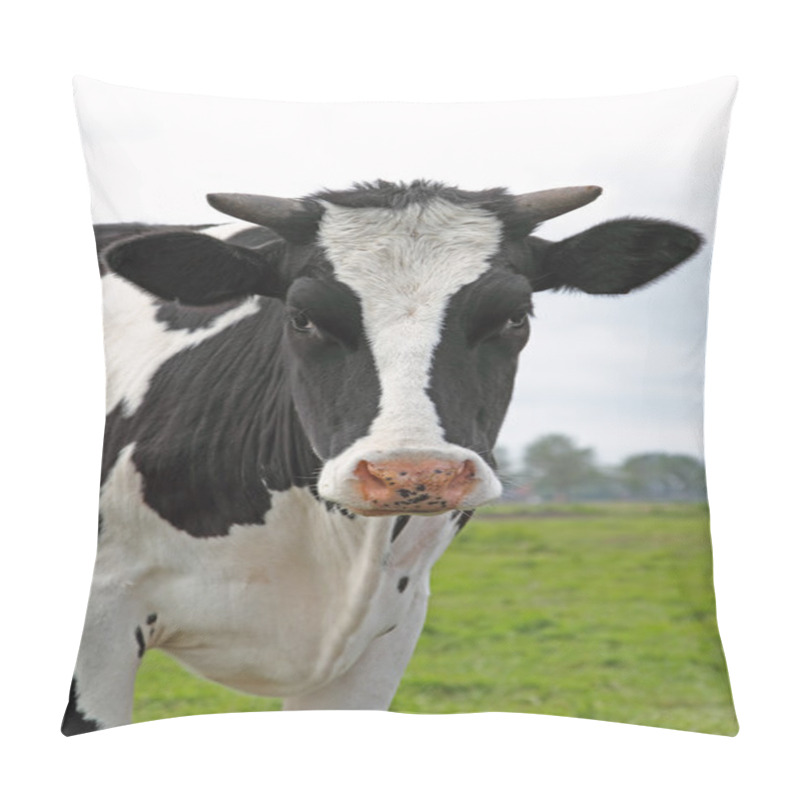 Personality  Dutch Black And White Cow  Pillow Covers