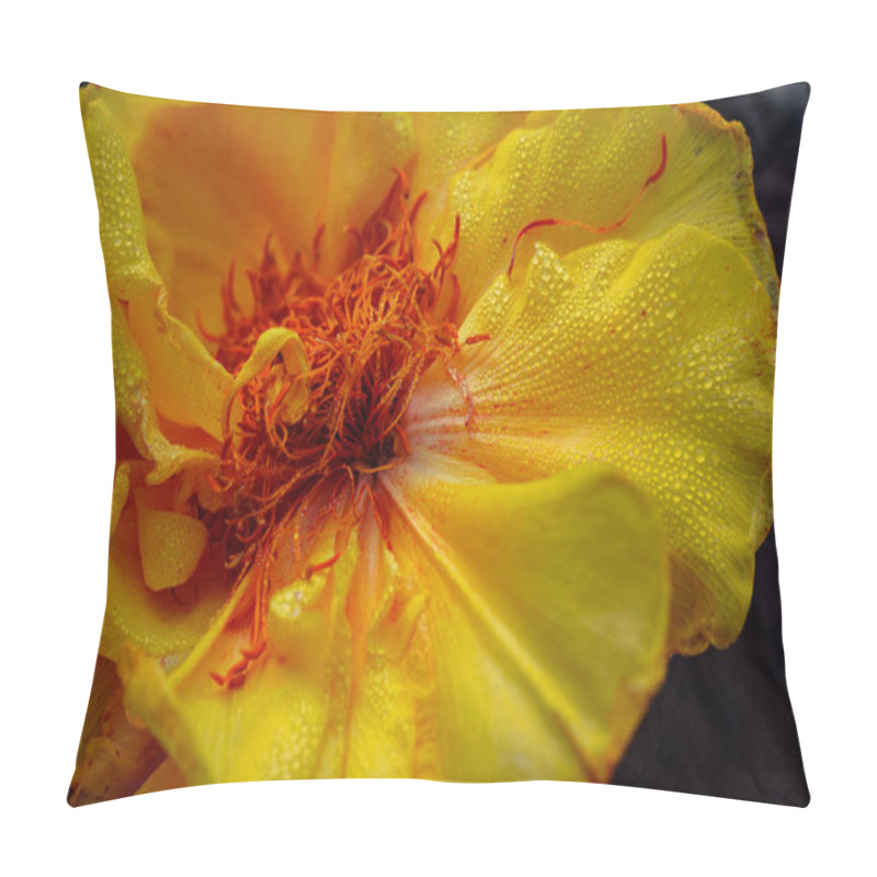 Personality  Yellow Flowers On The Tree In Blossom Pillow Covers