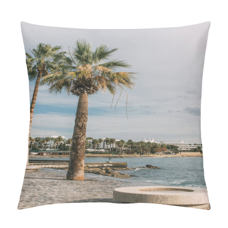 Personality  Sunlight On Green Palm Tees Near Sea Against Blue Sky With Clouds  Pillow Covers