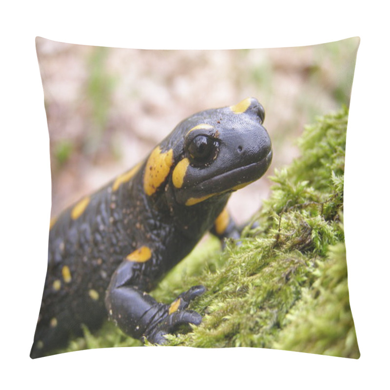 Personality  Black Yellow Dotted Salamander Pillow Covers