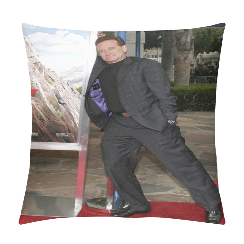 Personality  Actor Robin Williams Pillow Covers