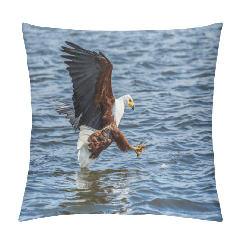 Personality  African Fish Eagle Hunting Pillow Covers