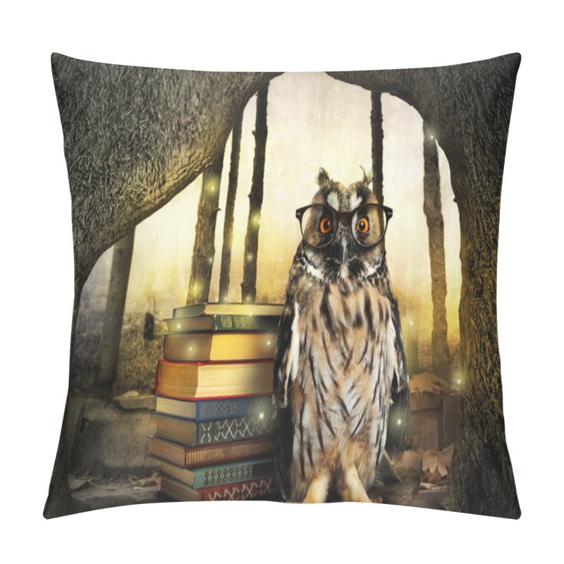 Personality  Beautiful Wise Owl Near Books In Fantasy World Pillow Covers