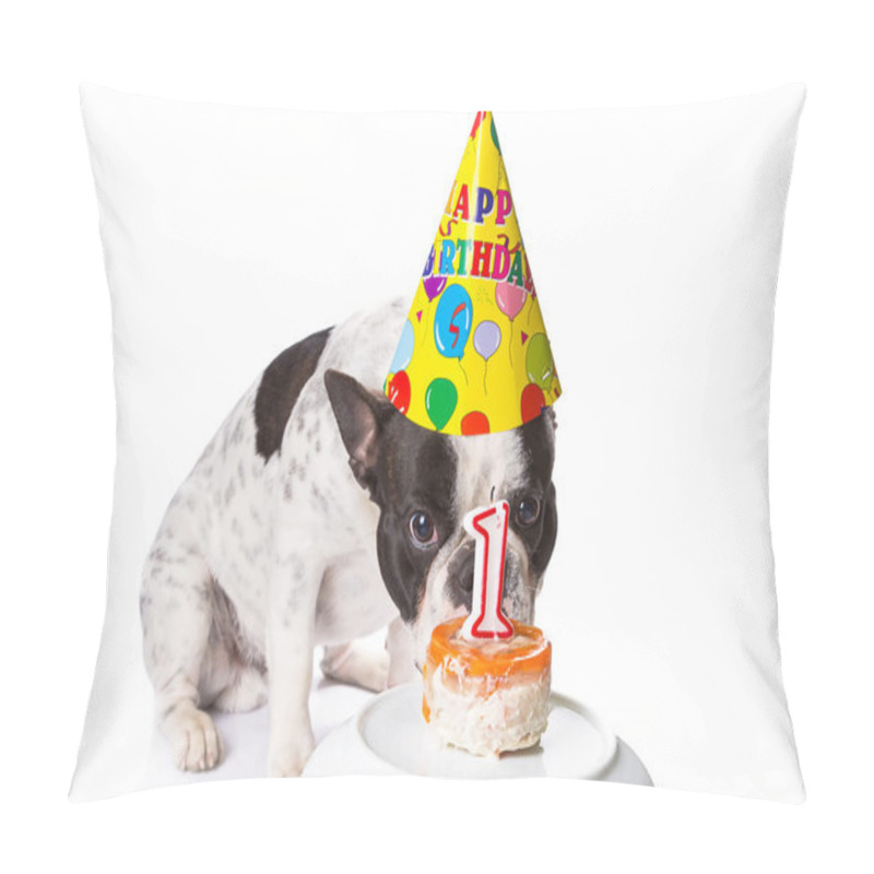 Personality  French Bulldog On His First Birthday Pillow Covers