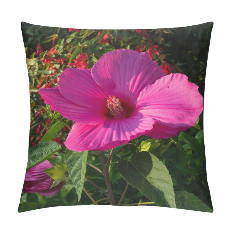 Personality  Blooming Big And Beautiful Swamp Rose Mallow (Hibiscus Moscheutos) In Autumn Garden Pillow Covers