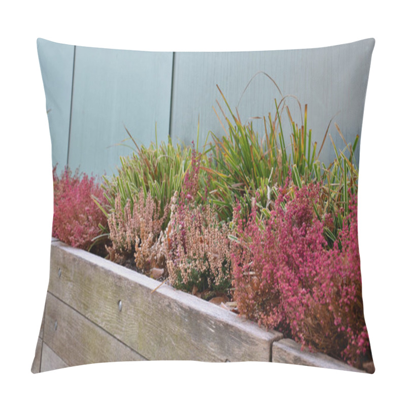 Personality  Wooden Boxes In The Fall Are Planted With Very Nice Heather Which In Combination With Grasses Are A Decoration Throughout The Winter. Shop Window Frosted Boxes Pillow Covers