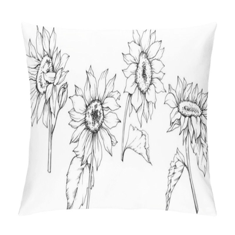 Personality  Vector Sunflower Floral Botanical Flowers. Black And White Engraved Ink Art. Isolated Sunflower Illustration Element. Pillow Covers