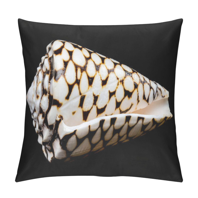 Personality  A Striking Close-up Of The Conus Marmoreus Shell, Showcasing Its Intricate Black-and-white Marbled Pattern On A Smooth Surface, Isolated Against A Sleek Black Background Pillow Covers