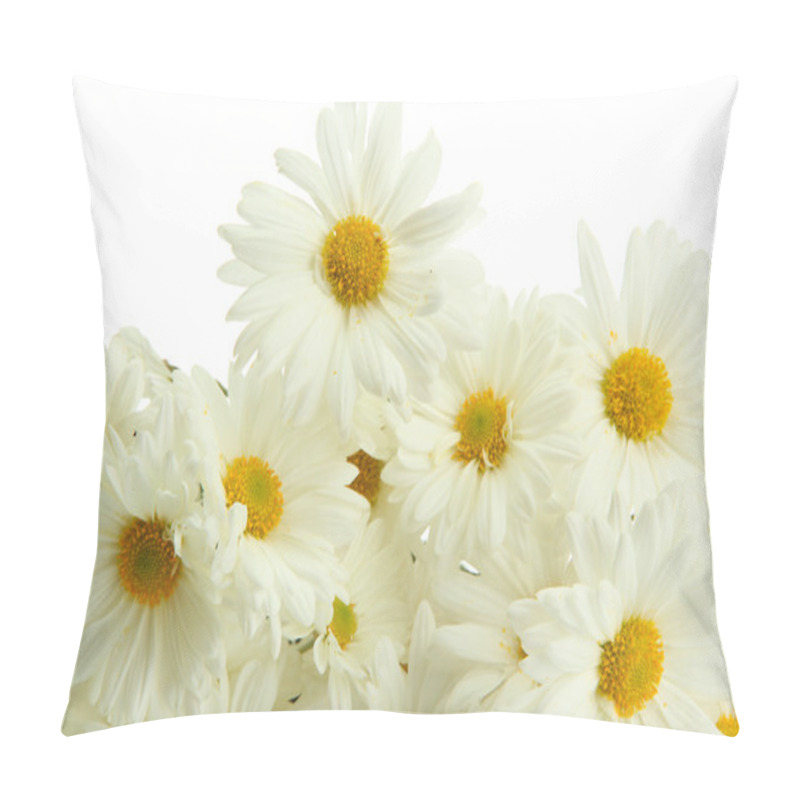 Personality  Bouquet Of Beautiful Daisies Flowers, Close Up Pillow Covers