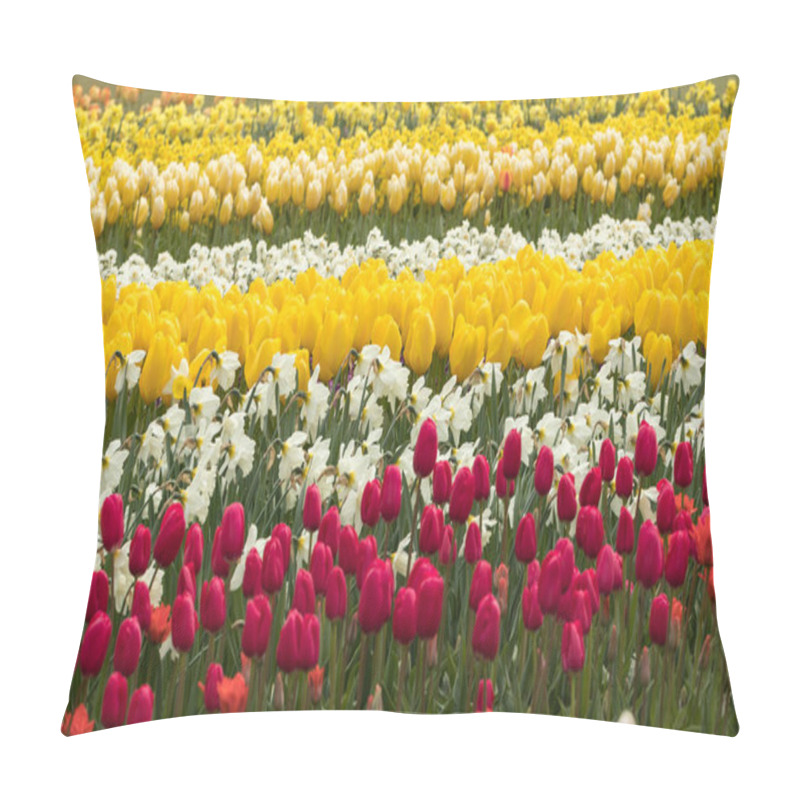 Personality  Tulip Fields In The Bollenstreek Pillow Covers