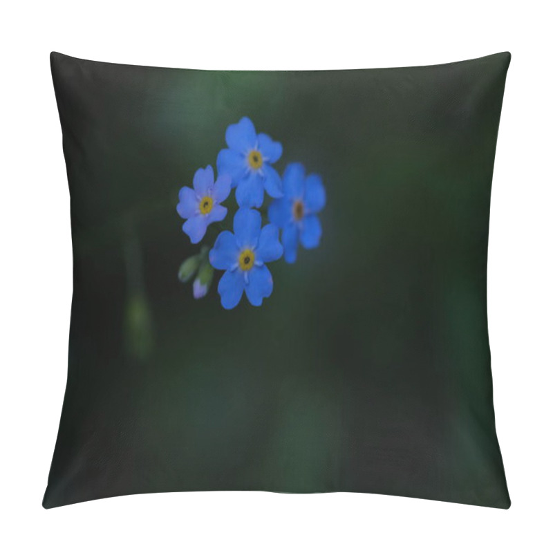 Personality  Small Blue Flowers On A Blurred Background. Forget-me-not, Fragile Petals, Delicate Flowers. Pillow Covers