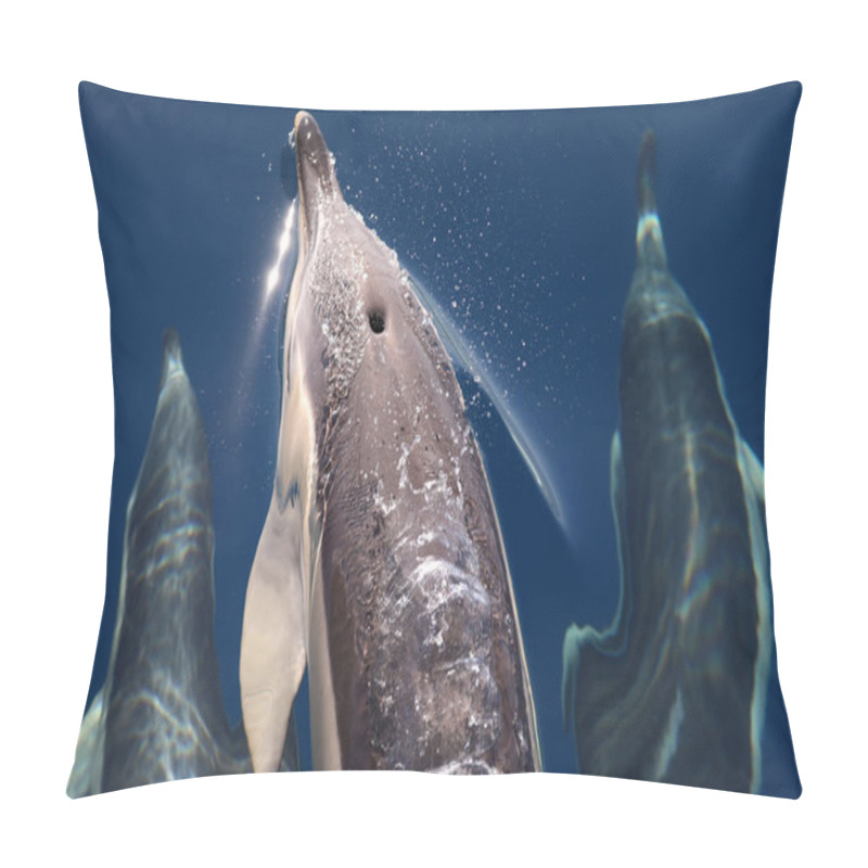 Personality  Group Of Common Dolphins From Above Near The Coast Of Island Pico (Azores) Pillow Covers