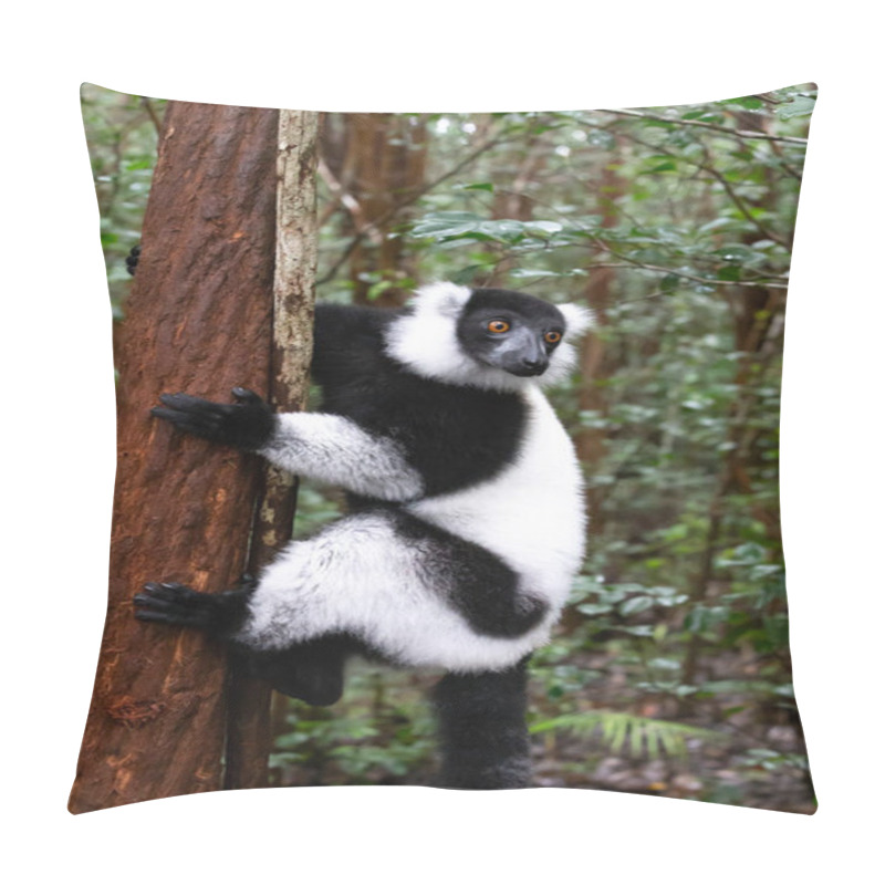 Personality  One Black And White Lemur Sits On The Branch Of A Tree Pillow Covers