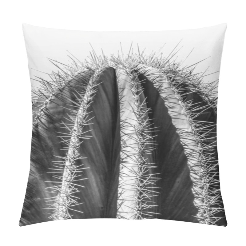 Personality  Black And White Closeup Detalis Of Southwestern Desert Cactus With Sharp Spines Framed Against A Blue Sky Pillow Covers