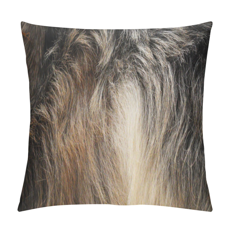 Personality  Background And Texture Of Animal Fur. Extreme Close-up Of Goat's Fur. A Fluffy, Soft Warm Coat Protects This Farm Animal From The Cold. Beautiful Shades Of Grey, Brown, White And Cream Pillow Covers