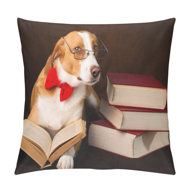 Personality  Cute Mixed Breed Dog Posing As An Intellectual Pillow Covers