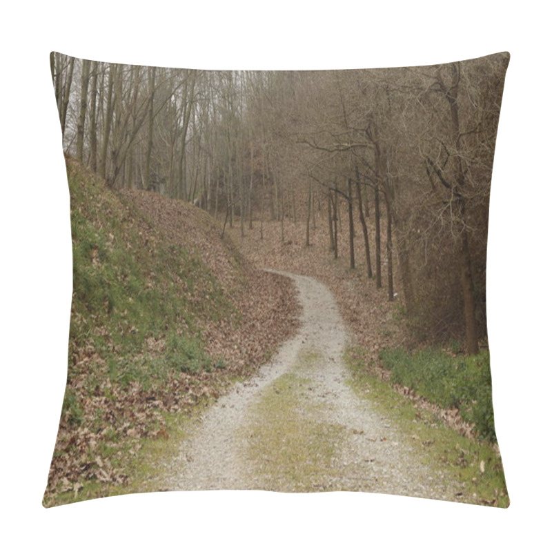 Personality  Vegetation In The Park Pillow Covers