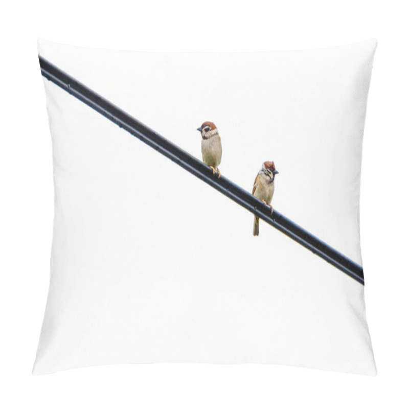 Personality  Two Sparrows Building A Nest Under A Metal Structure, Captured From A Low Angle In An Industrial Setting With Calm And Focused Atmosphere, Horizontal Pillow Covers