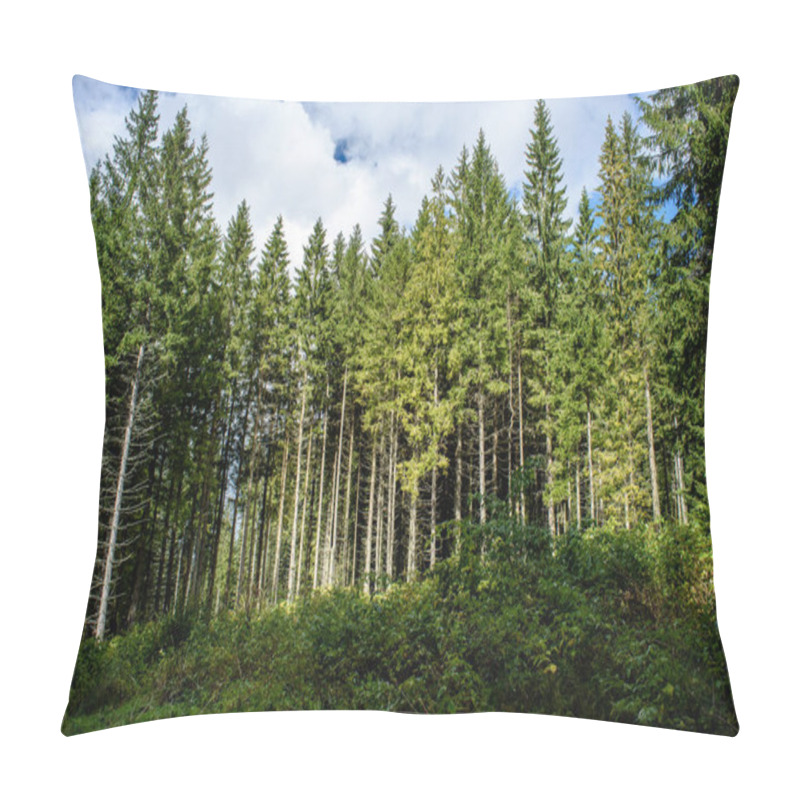 Personality  Tree Trunk Textures In Natural Environment Pillow Covers