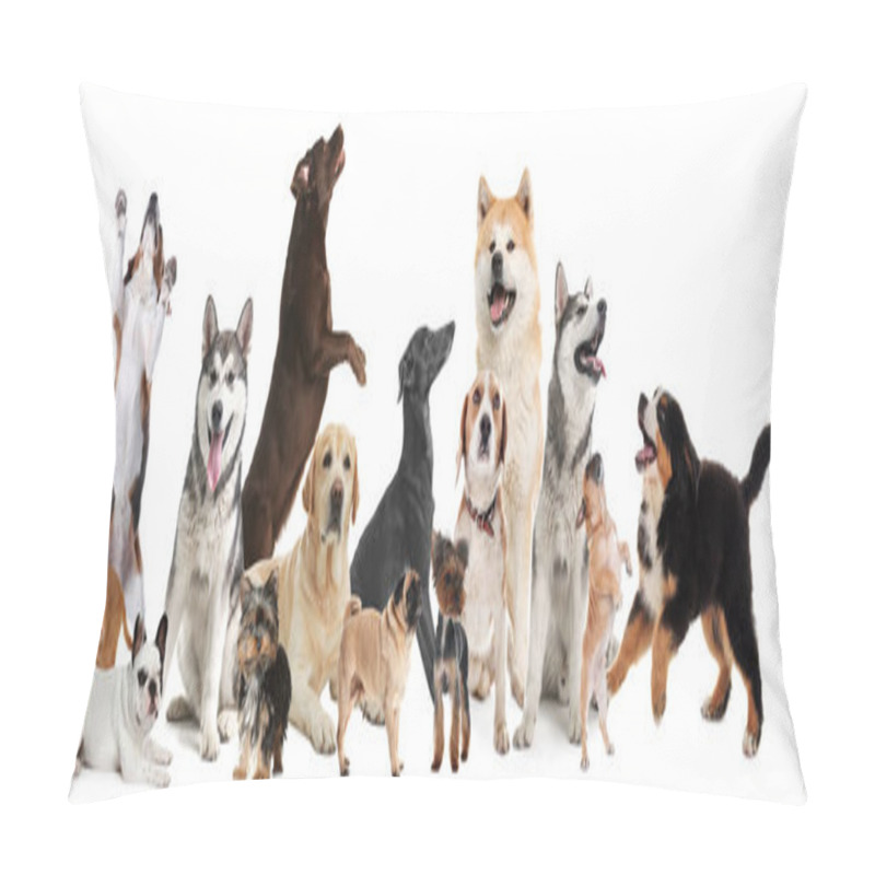 Personality  Collage With Different Dogs On White Background. Banner Design Pillow Covers