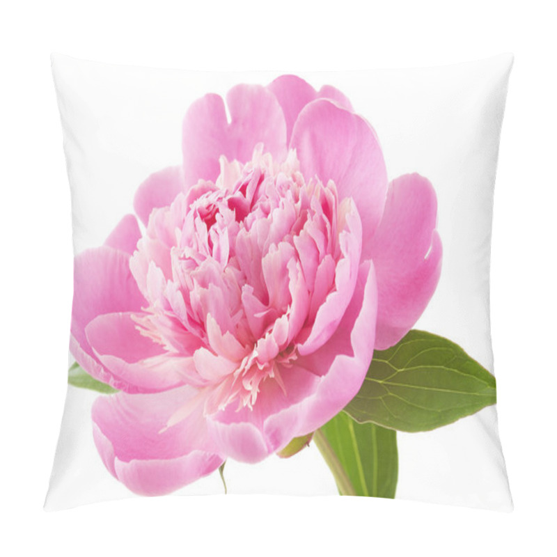 Personality  Peony Flower Closeup Isolated On White Background Pillow Covers