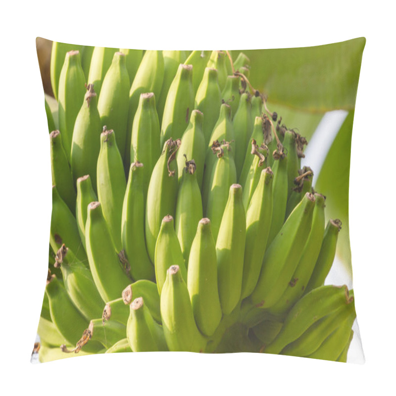 Personality  Bunch Of Bananas On A Banana Plantation In India. Bananas On A B Pillow Covers