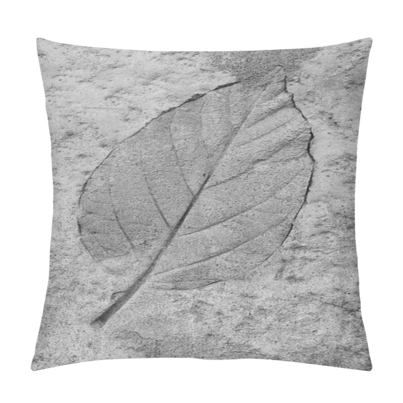 Personality  Black And White Of Leaf On Cement Texture Background Pillow Covers