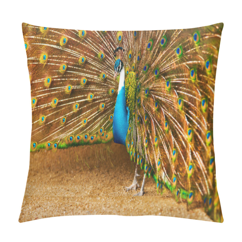 Personality  Birds Of Thailand. Peacock With Feathers Out. Animals. Travel, T Pillow Covers