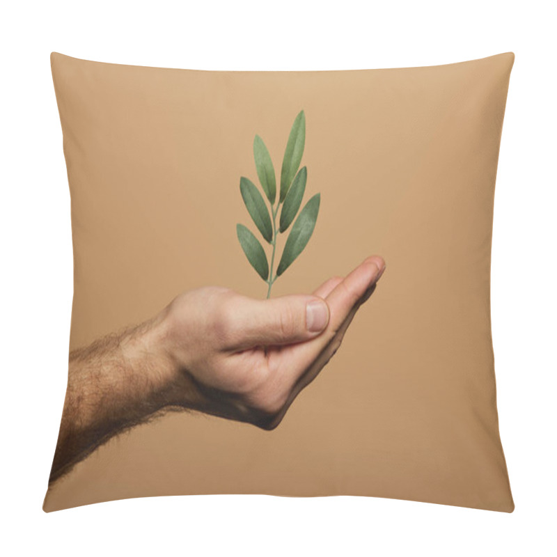 Personality  Cropped View Of Man Holding Green Plant Isolated On Beige Pillow Covers